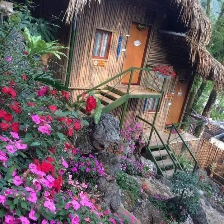 Green Hill Hostel & Tour Ha Giang Extérieur photo